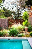 Summer atmosphere in tropical garden with pool