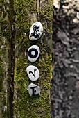 Letters on pebbles on mossy log