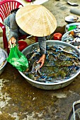 A woman selling fresh blue crabs at a market in Saigon (Vietnam)