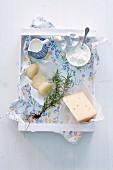 Cheese, dairy products and rosemary in a box