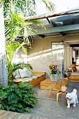 Tagesbett, Kistentisch und 50er Jahre Schichtholzstuhl auf Terrasse mit Palme