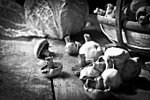 Field mushrooms in a wooden basket with a savoy cabbage in the background (black and white image)