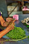 Frau schneidet Gemüse auf Markt in Haiphong, Vietnam