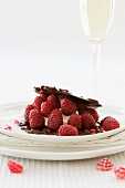 A raspberry dessert with chocolate and almond biscuits and vanilla cream