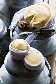 Serra Da Estrela (Portuguese cheese) on milk churns