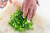 Ceviche being made: coriander being chopped