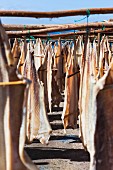 Stockfisch, zum Trockenen aufgehängt (Portugal)
