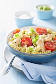 Pasta with chicken, basil pesto and tomatoes