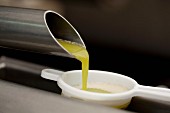 Frisch gepresstes Olivenöl läuft aus Leitung in Sieb