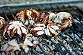 Octopuses on a barbecue