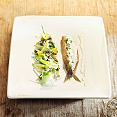 Chicory salad and Dutch herring with apple