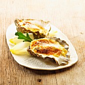 Gratinated oysters with chicory