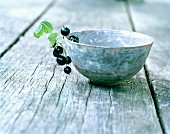 Blackcurrants on the edge of a bowl