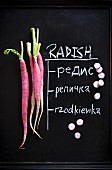 Red radishes