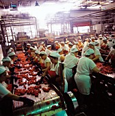 Frauen arbeiten in einer Tomatenfabrik