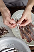 Anchovies being cleaned