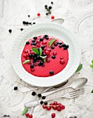 Frozen redcurrant soup with stevia