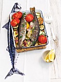 Oven-roasted trout with vegetables