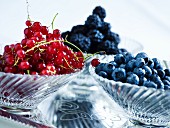 Redcurrants, blueberries and blackberries in glass bowls