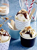 Frozen yoghurt with chocolate sauce and coconut
