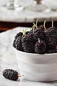 Fresh mulberries in a white bowl