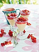Panna cotta with redcurrants