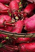 Red radishes at a market in China