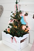 Fir tree decorated with fairy lights in white wooden crate