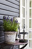 Potted lavender and candle lantern on console table against wooden wall
