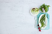 An arrangement of various types of vegetables and lettuces