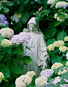 Heilige Maria Statue zwieschen Hortensien im Garten