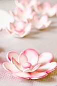 Handmade sugar flowers