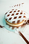 A creamy cheesecake decorated with a lattice pattern of cocoa and icing sugar