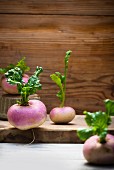 Several turnips