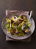 Pasta with clams and rocket