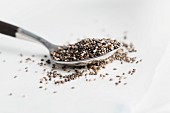 A spoonful of chia seeds