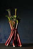 A bunch of rhubarb on a wooden surface against a blue background