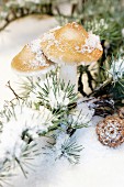 Ornamental toadstools and snow on larch twigs