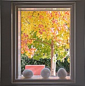 Golden autumn - decorative stones in windowsill and view of tree with yellow leaves in sunshine