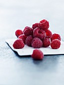 Fresh Raspberries