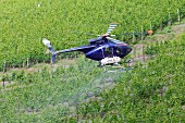 Schädlingsbekämpfung per Hubschrauber im Weinberg, Rheinland Pfalz, Deutschland