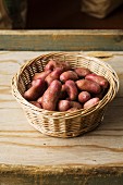 A basket of red skinned Cherie potatoes