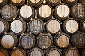 Stacks of oak barrels in a wine cellar