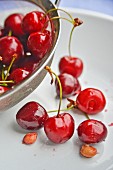 Fresh cherries and cherry stones