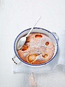 Apricot cake dusted with icing sugar in an old enamel baking tin