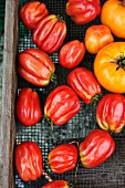 Tomatoes at the market