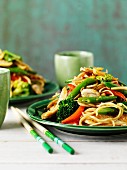 Fried noodles with chicken and vegetables (Asia)