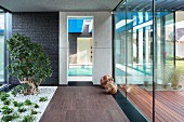 Glazed foyer with planted strip in contemporary house; view of indoor pool through glass door