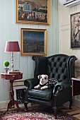 Dog on black leather armchair next to delicate, antique side table below gilt-framed pictures on white-painted wooden wall