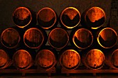 Barrels of white wine in storage